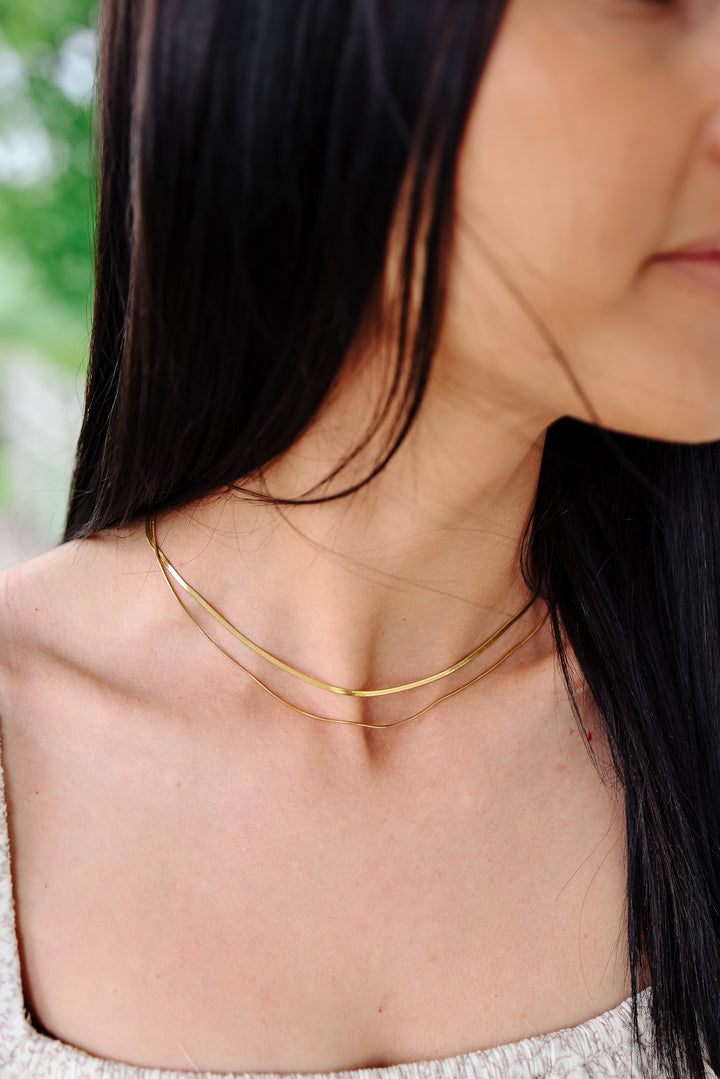 Double Layer Skinny Snake Chain Necklace