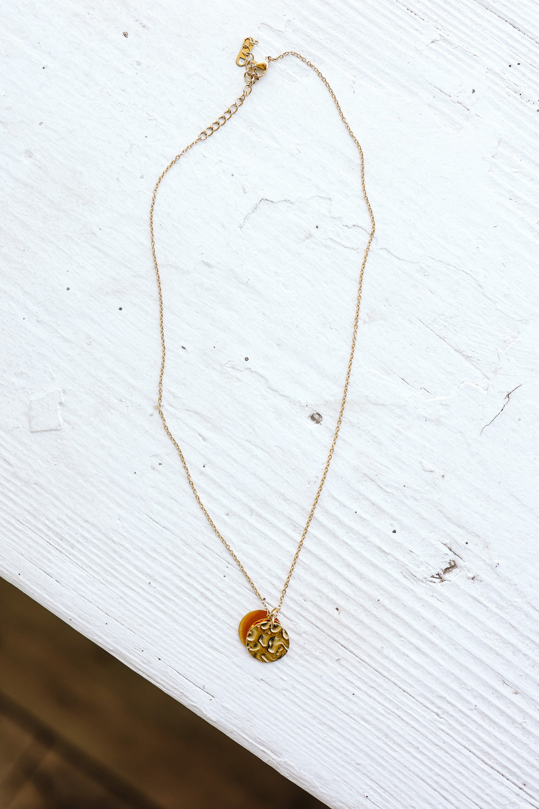 Double Coin Pendant Necklace