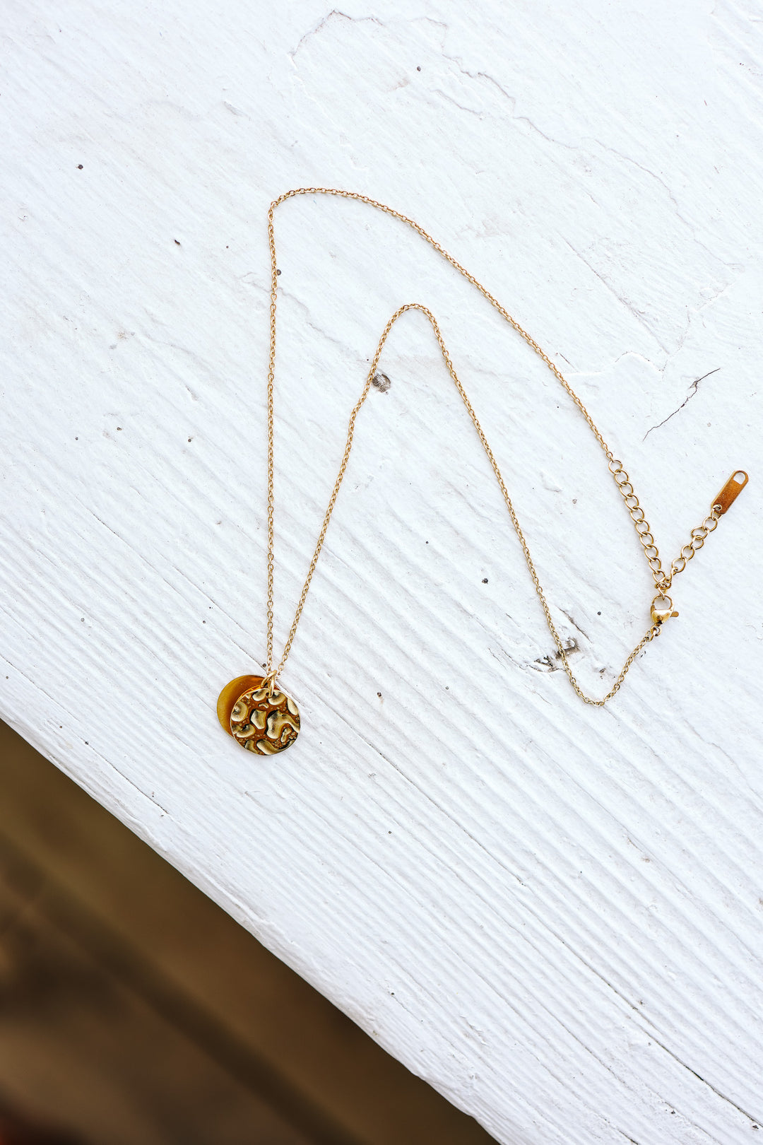 Double Coin Pendant Necklace